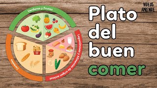 Plato del buen comer | Videos Aprende - thptnganamst.edu.vn