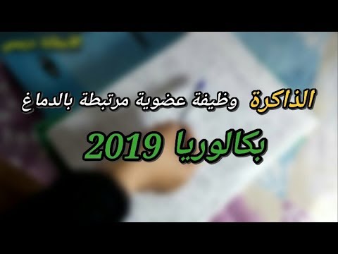 مقالة الإستقصاء بالوضع الذاكرة وظيفة عضوية مرتبطة بالدماغ للأدبيين فلسفة لطلبة بكالوريا 2019