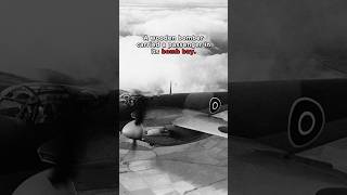 Mosquito: Britain's SECRET Bomb Bay Passenger