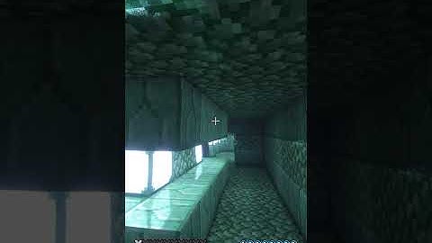 Secret Chest in Ocean Monument in Minecraft! #shorts