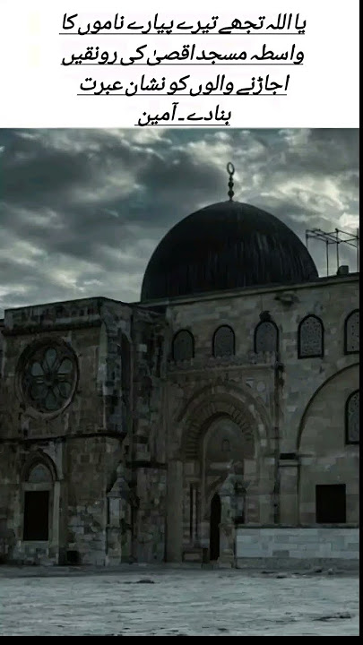 Amin #freedom#free#palestine