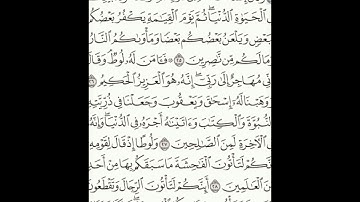 سورة العنكبوت 24-30 (٣٩٩)     Sheikh Anas AlHibri