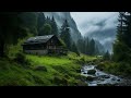 Beautiful relaxing music  stop overthinking stress relief music sleep music calming music 36