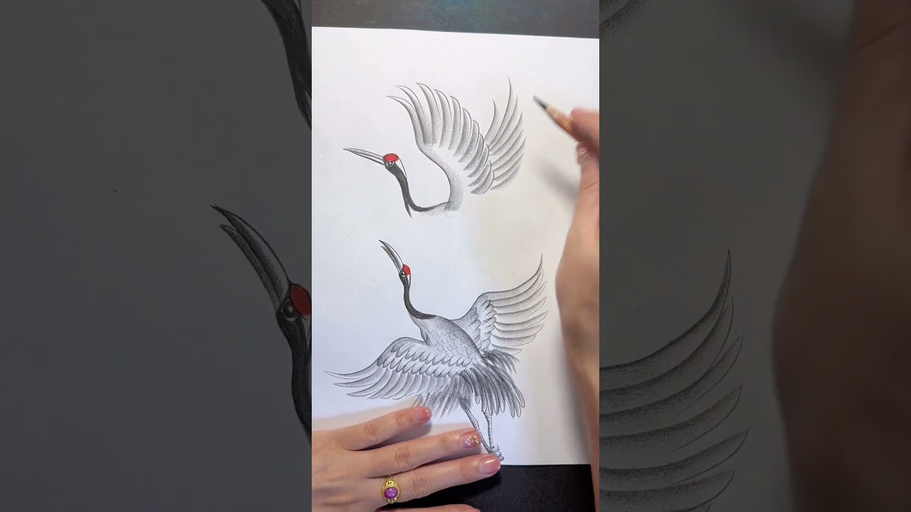 Sarus Crane Bird Drawing 