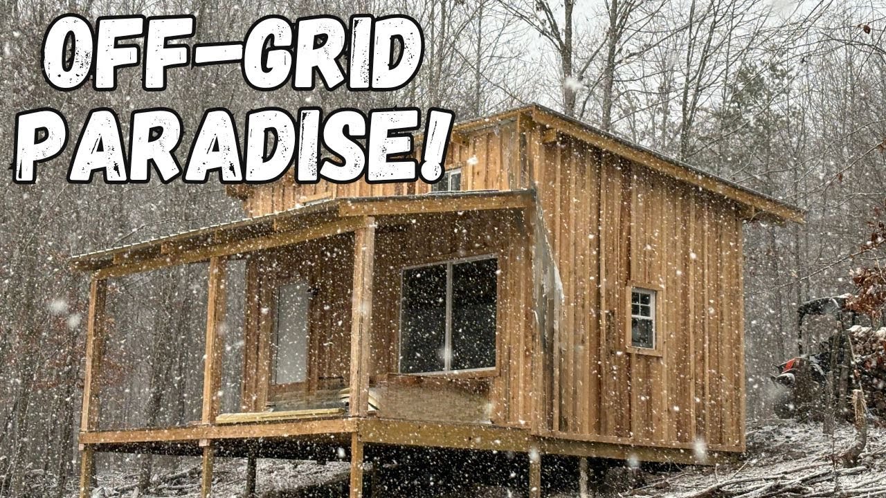 Cabin Build at Our Farm Pond - Timelapse