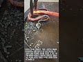 고온으로 달궈진 철사를 이용한 예술적 금속 단조 및 구부림 공정 #worker #process #blacksmith #forging #metalwork