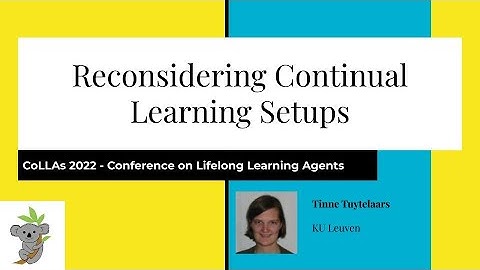 Reconsidering Continual Learning Setups - Tinne Tuytelaars - CoLLAs 2022