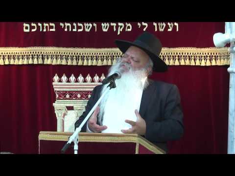 הנשמה רעבה | קטעים קצרים | הרב דניאל זר