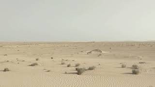 SNIM Train- 3/4: Landscape