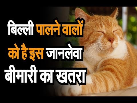 वीडियो: बिल्लियों में लाइसोसोमल भंडारण रोग - बिल्लियों में आनुवंशिक रोग
