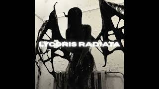 [FREE] lovemusic + experimental redda type beat - "LYCORIS RADIATA"