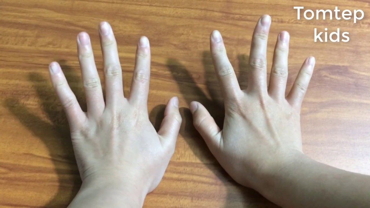 FINGER MATH - LÀM TOÁN ĐƠN GIẢN BẰNG ĐÔI BÀN TAY - TOÁN THÔNG MINH | Tomtep KIDS - youtube
