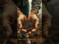 Why Destroying Rainforest Makes Farmers Rich