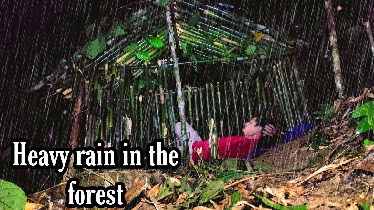 Bushcraft shelter building in the rain forest | Solo bushcraft in heavy ...
