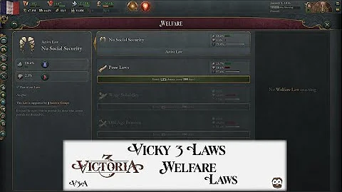 Welfare Laws - Vicky 3 Academy