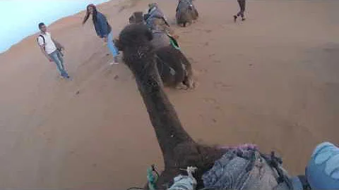 Riding camels in Morocco!