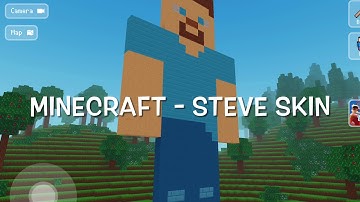 Minecraft Skin - Steve | Block Craft 3D: Building Simulator Games For Free