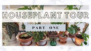 HOUSEPLANT TOUR | Part I | 140+ HOUSEPLANT COLLECTION | 2020