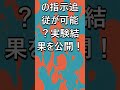 Transformerでシステムプロンプトを観察する実験!ローカルLLMの指示追従性能を検証する