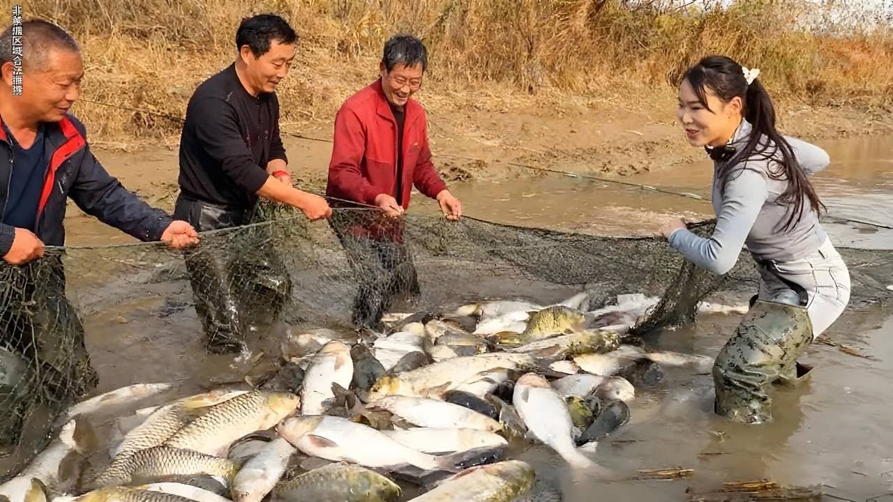 美女壕掷8000元包下鱼塘，没想到这收获惊呆现场众人！渔网里全是满满的活蹦乱跳的“钞票”！！【文杰吖】