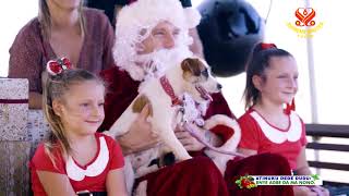 1107 SWA Shining World Compassion Award Recipient Saving Animals From Euthanasia p2o2 6m