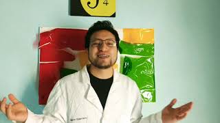 Integración Rutas metabólicas parte 1 Integración Rutas metabólicas parte 1