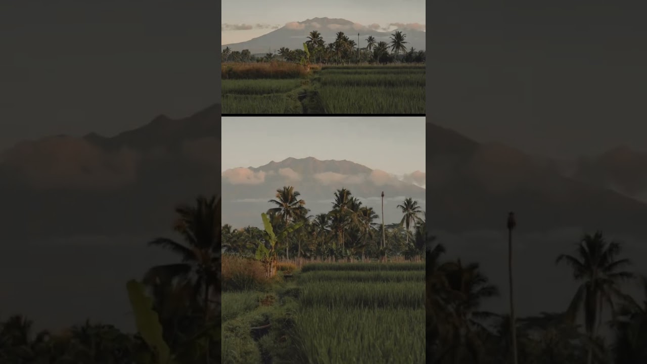how i shoot timelapse 🙌🏽🙌🏽 