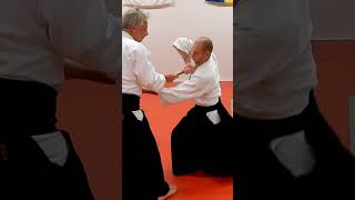 Aikido in slow motion: Techniques against JO (staff) attacks, JO DORI, by Stefan Stenudd