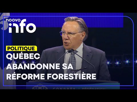 Le Gouvernement Legault Abandonne Sa Réforme Controversée Du Régime Forestier