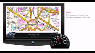 Celebrity Georadius Software Speed Violation Net Worth