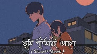 Tumi Purnimari Alo |Samz Vai | (Lofi Reverb) | Bangla Song | Lofi Song  #lofimusic #banglalofisongs 