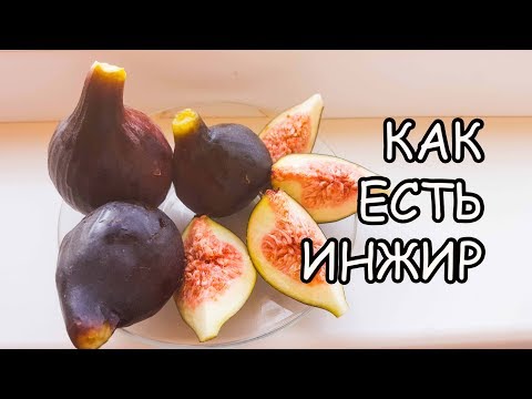 Как есть инжир. Инжир польза