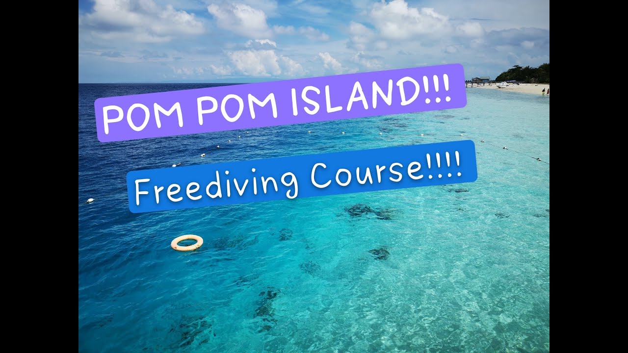 FREEDIVE AT POM POM ISLAND 🏝 YouTube