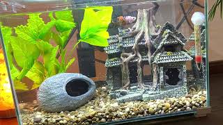 Top Fin 5 gallon Retreat Aquarium Filter modifications deconstructed
