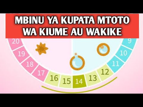 Video: Jinsi Ya Kutambua Kasuku Wa Kiume
