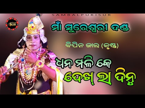 ଧନମାଳି କେ ମୁଇଁ ଦେଖଳା ଦିନୁ||sureswari danda||bipin jal||sambalpurisur