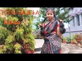 Titou bajela  singer gitanjali das  cover by prastoti axom