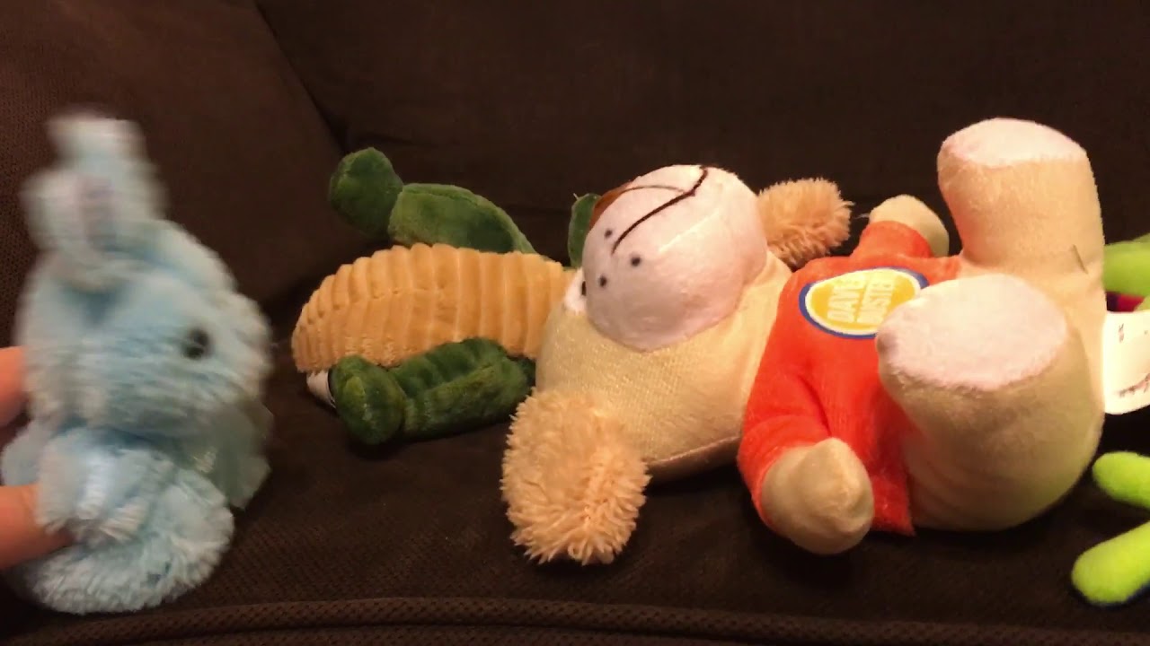 The Honey Bee! - YouTube