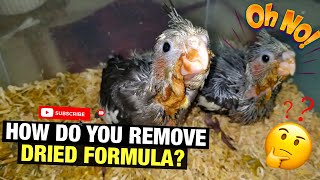 HOW DO YOU REMOVE DRIED FORMULA? screenshot 3