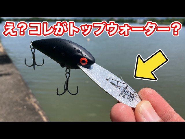 It Looks Like a Crankbait, But It's Actually a Topwater (Cranky