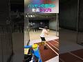 バッセンの面白い動画 トップ6