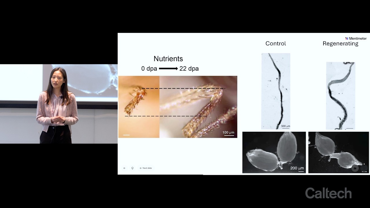 Yutian Li - Nutrient-Driven Activation of Regenertion Through Systemic ...