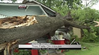 Tree falls on two houses screenshot 4
