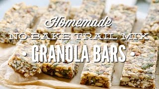 Homemade No-Bake Trail Mix Granola Bars (Freezer-Friendly)