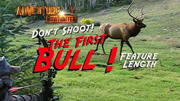 Crazy Elk Rut....  Don