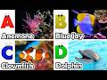 ABC phonics animals | ABC Sea Animals song | English and Animals for Kids | Alphabet Kid Song | Baby