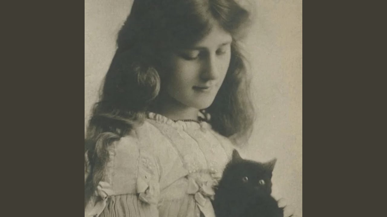 Watch Killcat on YouTube Watch Killcat on YouTube