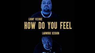 Labworx Session #1 (Looney Viciouz - How do you feel Official Video )