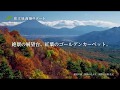 遊覧カート2017紅葉編 テレビＣＭ