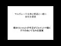 ビジネス本解説「マルガレーテ・シュタイフ」